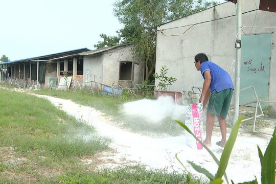 Chủ động ngăn chặn dịch tả lợn châu Phi