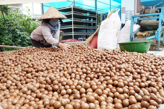 Xã hơn 13.000 dân chưa có chợ dân sinh