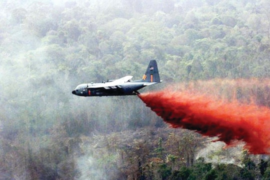 Trách nhiệm, lương tri và khát vọng hồi sinh