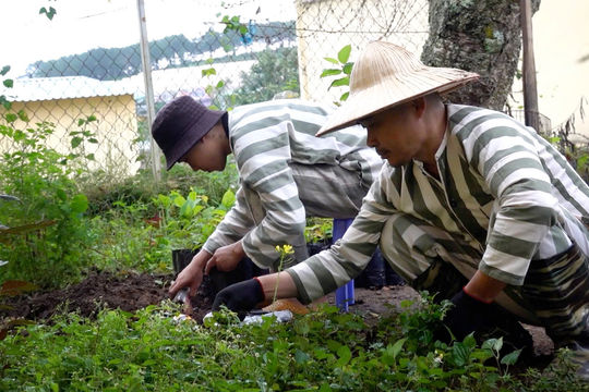 Lâm Đồng bảo đảm khách quan, công bằng trong công tác đặc xá
