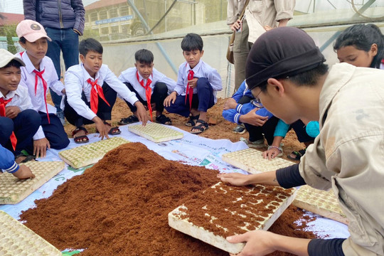 Vườn rau thay đổi ý niệm