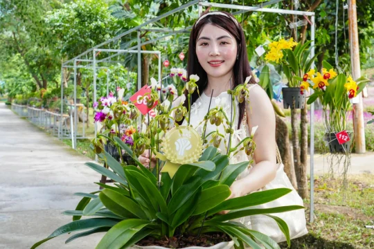 Nghệ nhân đến từ Lâm Đồng giật giải đặc biệt cuộc thi hoa lan