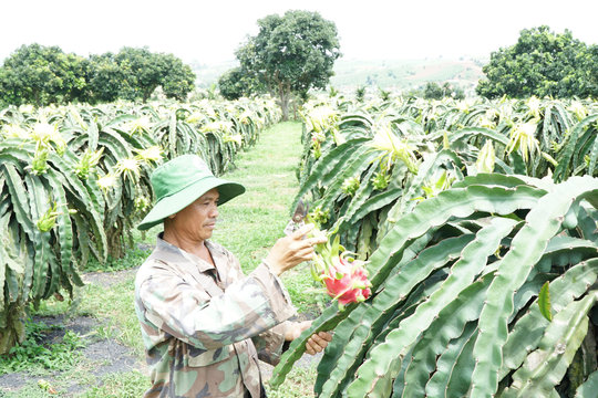Lâm Đồng “đặt hàng” từng sở, ngành để về đích tăng trưởng trên 8%