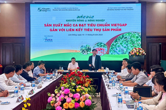 Diễn đàn tăng cường liên kết chuỗi trong sản xuất mắc ca VietGAP