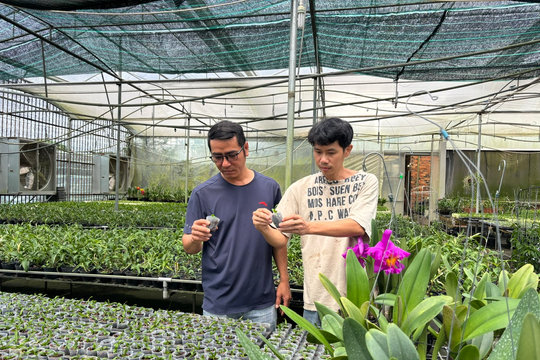 Nhóm Hoa lan vui vẻ Lâm Đồng: Mô hình khởi nghiệp của bạn trẻ