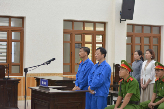 Giám đốc Công ty Long Thái Việt lãnh án