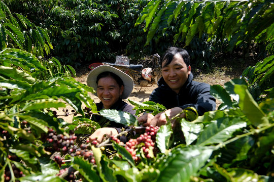 Phát triển bền vững vùng đồng bào DTTS và miền núi