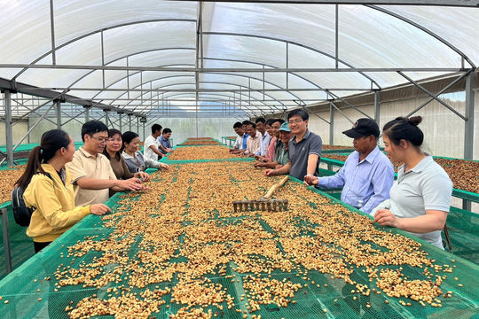 Bước đi mới ở Công viên Địa chất toàn cầu