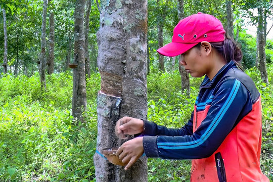 Sức sống mới ở vùng đồng bào dân tộc thiểu số Đông Nam tỉnh