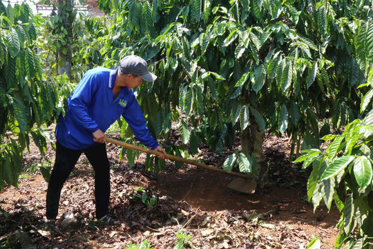 Tín dụng chính sách tiếp sức xây dựng nông thôn mới