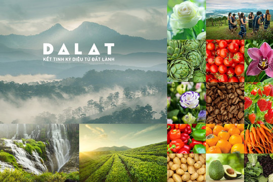 Bài toán thương hiệu và lời giải từ sở hữu trí tuệ