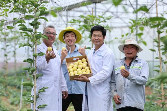 Hành trình kết nối vùng trồng của doanh nhân trẻ