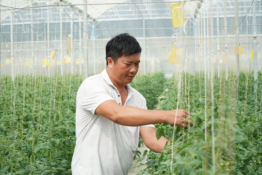 Nông nghiệp thông minh - Nền tảng bền vững cho nông thôn mới Lâm Đồng
