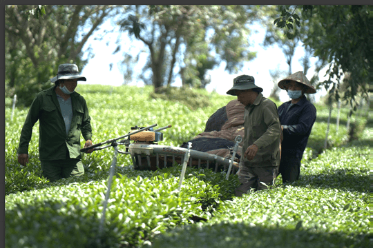 Phát triển bền vững các cụm công nghiệp