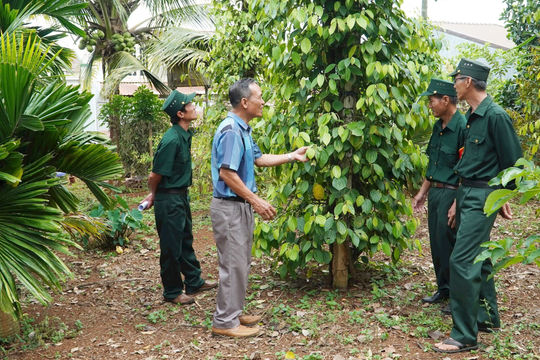 Học và làm theo Bác để xây dựng chi bộ trong sạch, vững mạnh