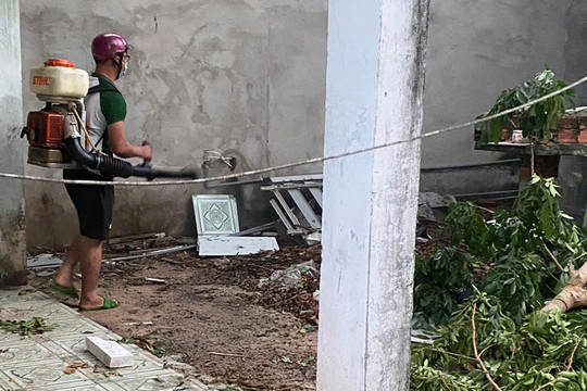 Mối lo từ muỗi Aedes gây 3 bệnh truyền nhiễm