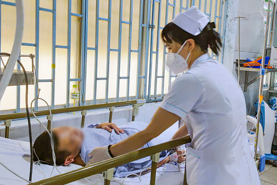 Cứu sống 2 vợ chồng ngộ độc cá nóc gạo