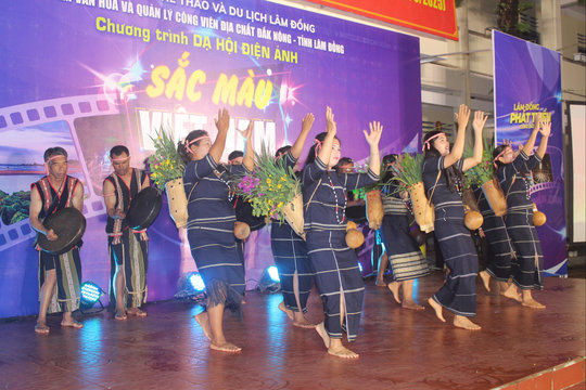 Dạ hội Điện ảnh Sắc màu Việt Nam