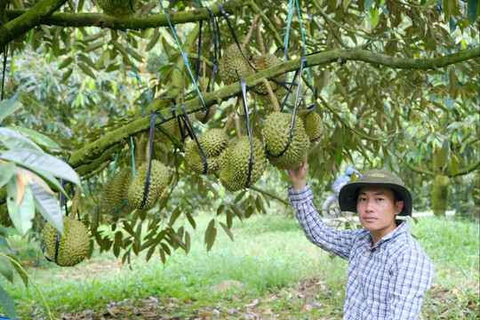 Nhân dân Đạ Tẻh 2 tích cực tham gia phong trào Thi đua yêu nước