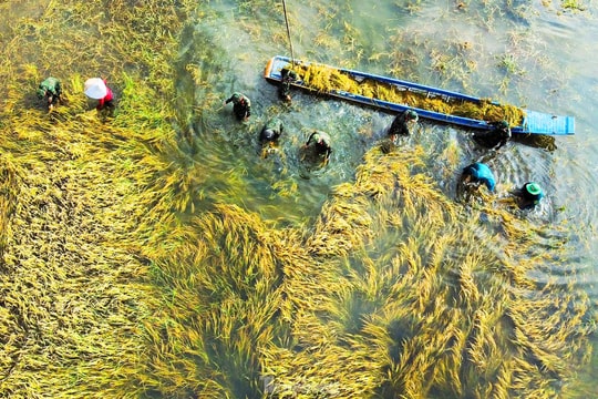 “Thế trận lòng dân” - Nền tảng vững chắc cho sự nghiệp xây dựng và bảo vệ Tổ quốc ở các tỉnh, thành phố phía Nam