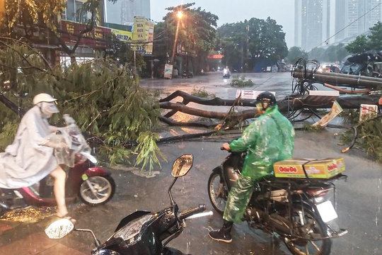Chuyên gia: Bão số 5 Kajiki mạnh lên cấp 14, có thể tương đương bão Yagi khi đổ bộ