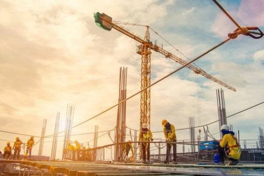 Tổ chức tham gia hoạt động xây dựng không cần chứng chỉ năng lực