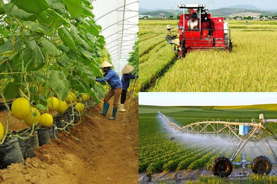 Bộ Nông nghiệp và Môi trường sửa đổi 28 TTHC lĩnh vực đất đai từ 25/8/2025