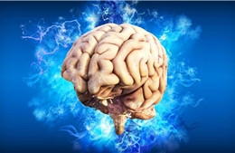 Não người 'tăng ca' ban đêm để đốt mỡ, ngăn tụt đường huyết