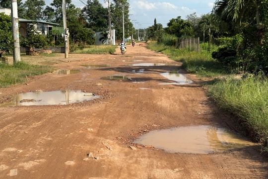 Sớm nâng cấp 3 tuyến đường trọng điểm ở Tánh Linh