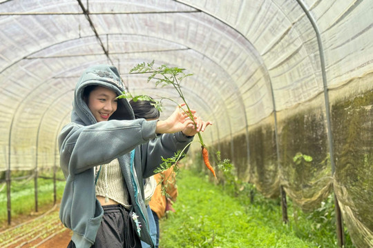 Du lịch canh nông - lợi ích kép cho nông dân