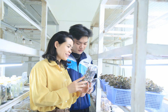 Cậu học trò phố núi sáng tạo 