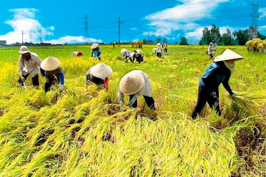 Điều kiện miễn thuế đối với hoạt động sản xuất nông nghiệp