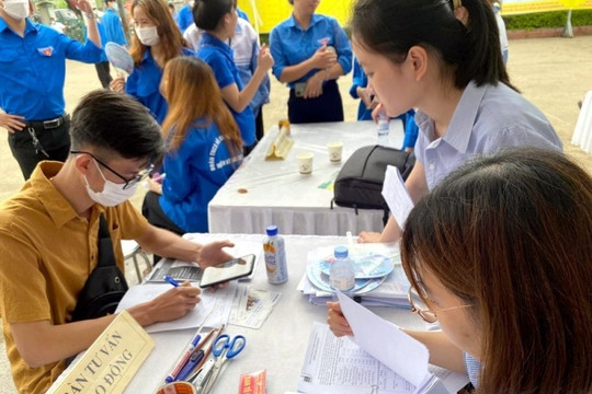 Kế hoạch triển khai thi hành Luật Việc làm