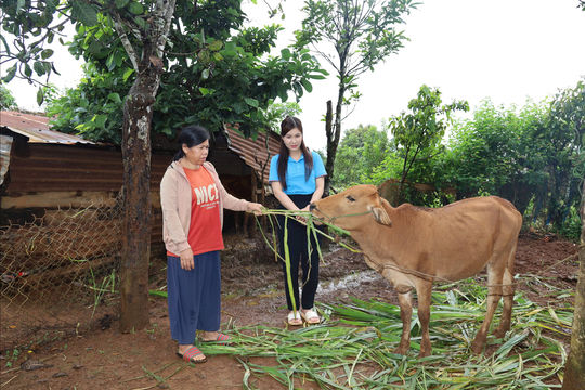 Tiếp sức cho phụ nữ nghèo vươn lên