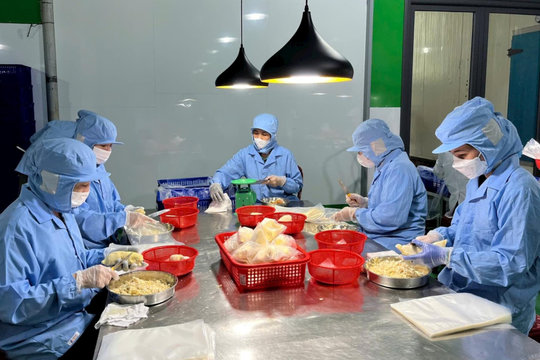 Hợp tác xã nông nghiệp ở Lâm Ðồng có doanh thu bình quân 1,5 tỷ đồng/năm