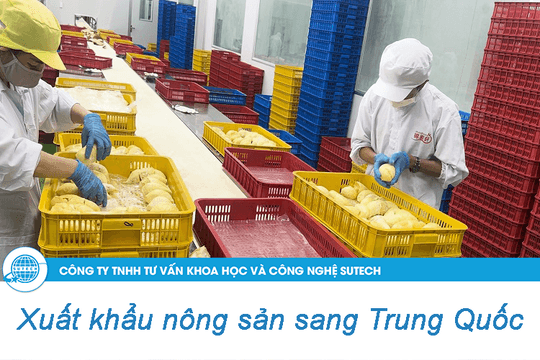 Tư vấn doanh nghiệp xuất khẩu nông sản sang Trung Quốc hiệu quả, nhanh chóng