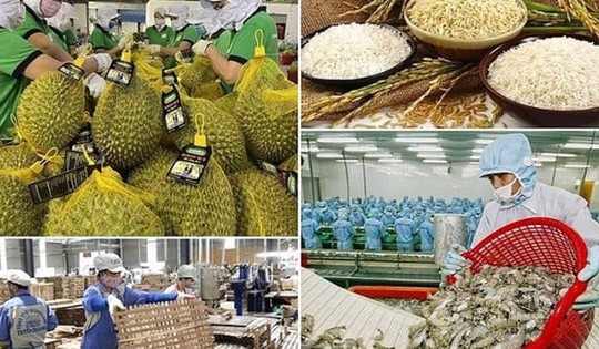 Chỉ đạo xây dựng, vận hành hệ thống truy xuất nguồn gốc, cơ sở dữ liệu chuỗi cung ứng sản phẩm nông, lâm, thủy sản
