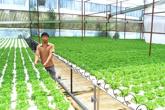 Nâng cao chất lượng cuộc sống người dân nông thôn