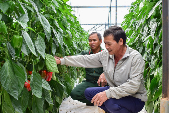 Khai thác tốt nguồn vốn vay, nâng cao đời sống hội viên