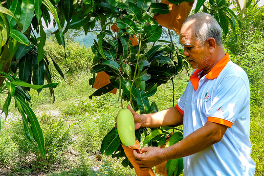 Sông Lũy lấy phát triển kinh tế là nhiệm vụ trung tâm