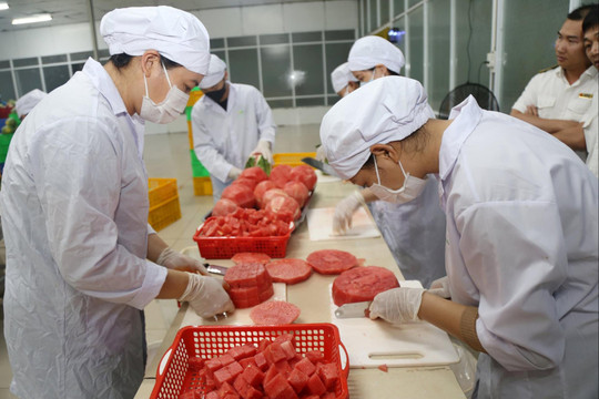 Vì sao doanh nghiệp Lâm Đồng khó vay vốn từ các tổ chức tín dụng?