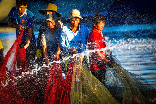 Nhịp sống kinh tế biển Lâm Đồng