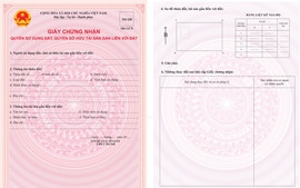 Thủ tục đăng ký đất đai, tài sản gắn liền với đất, cấp "Sổ đỏ" lần đầu đối với tổ chức đang sử dụng đất