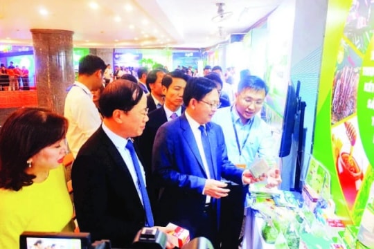 Gia Lai liên kết vùng và đổi mới sáng tạo