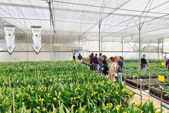 Nhiều cửa hàng ở Lâm Đồng bất ngờ vì hạn chế tặng hoa