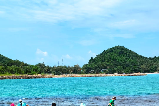 Mưa thu gõ nhịp ký ức