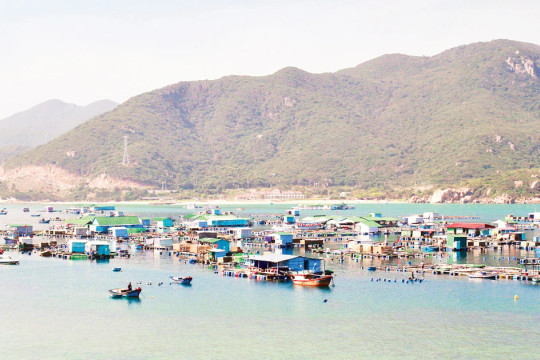 Lâm Đồng mở hướng phát triển thủy sản bền vững
