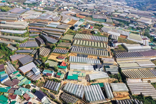 “Xanh hóa” nông nghiệp: Hành trình từ tư duy đến thực tiễn