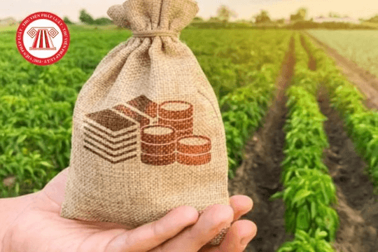 Thủ tục miễn giảm thuế sử dụng đất phi nông nghiệp từ ngày 03/9/2025
