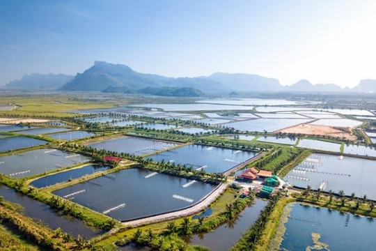 Sửa đổi thủ tục khai tiền thuê đất và thuê mặt nước theo Quyết định 3078/QĐ-BTC